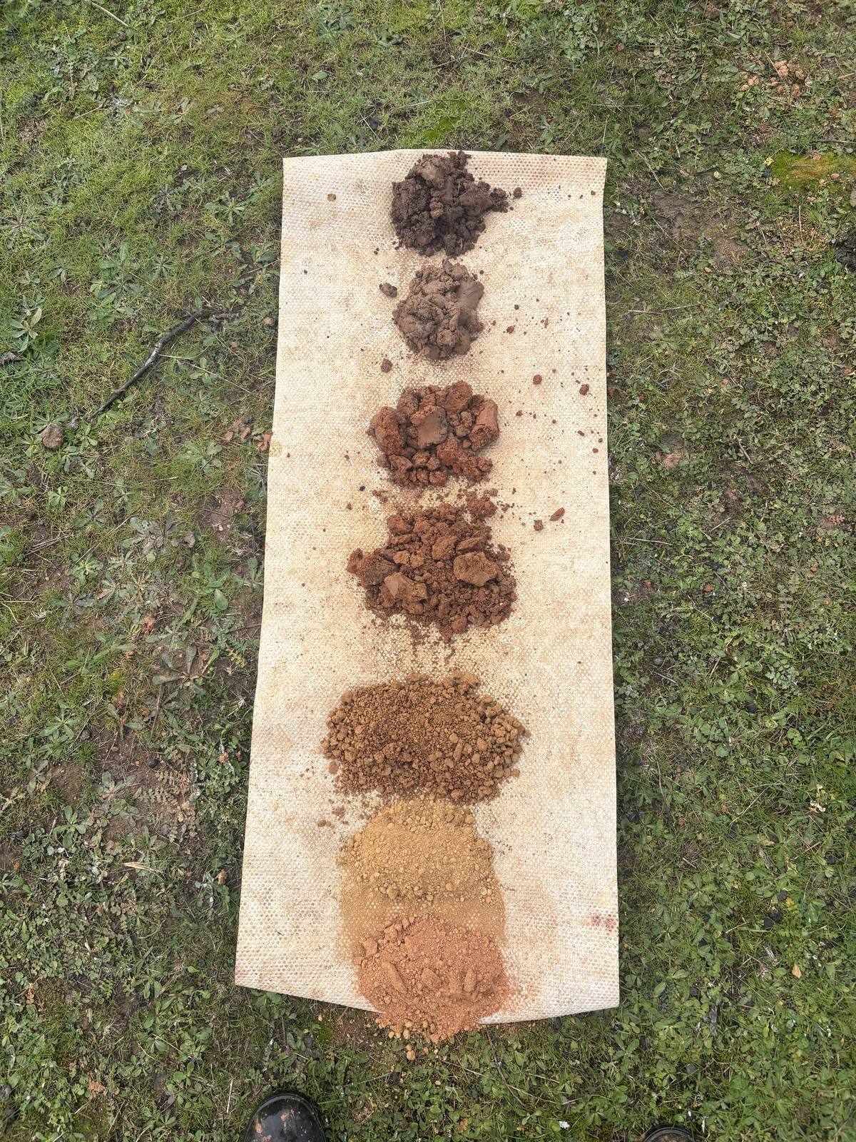 Soil profile exposed in a test pit during a land capability investigation